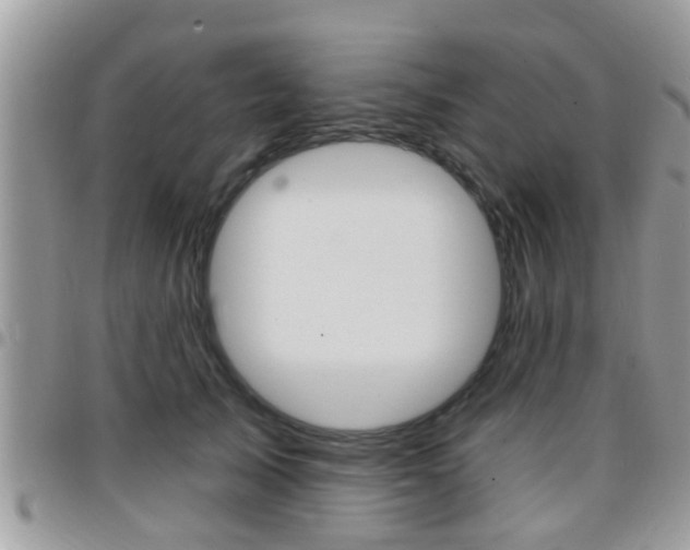 X0000096150705200801180829