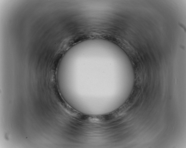 X0000096150706200801180829