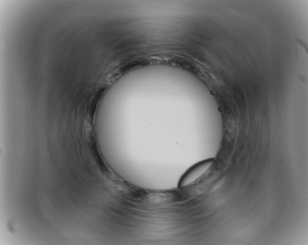 X0000096150707200801180829