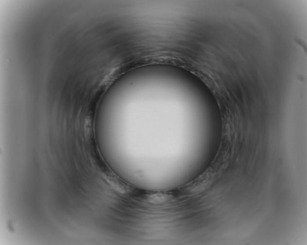 X0000096150708200801180829