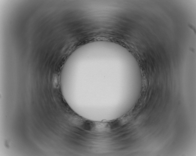 X0000096150709200801180829