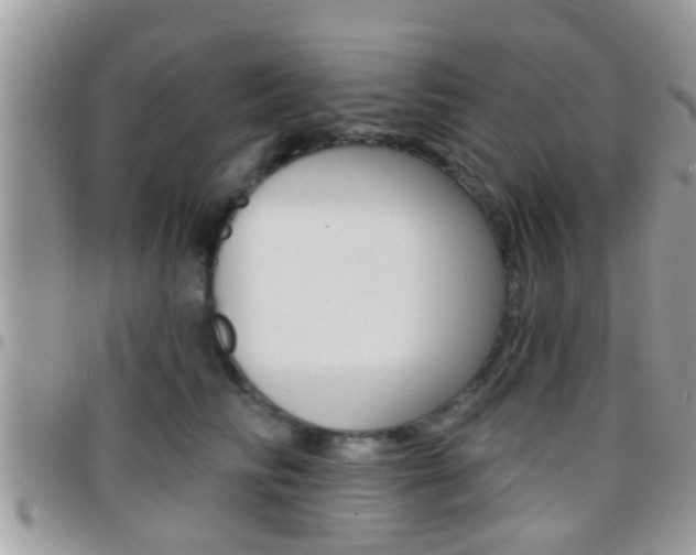 X0000096150710200801180829