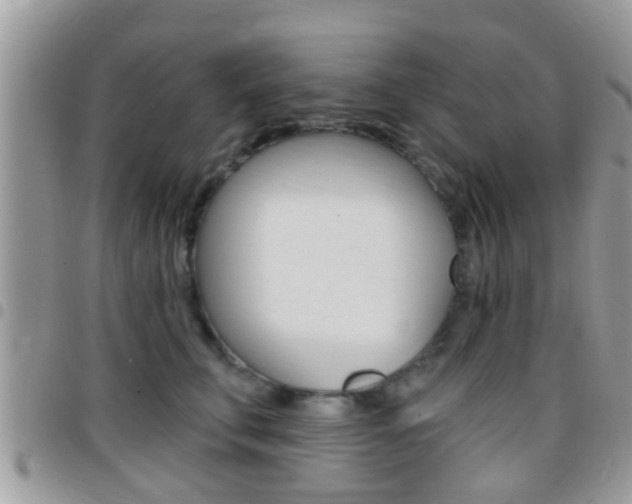 X0000096150711200801180829