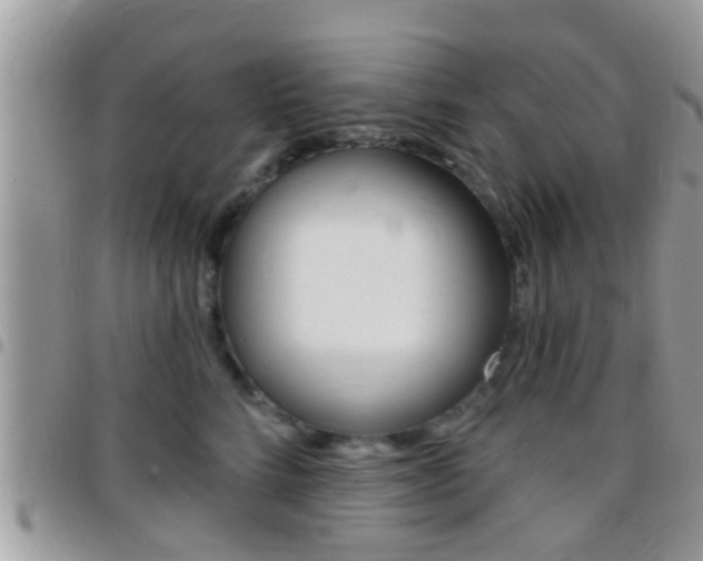X0000096150712200801180829