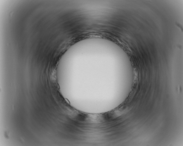 X0000096150713200801180829