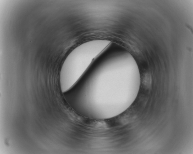 X0000096150715200801180829
