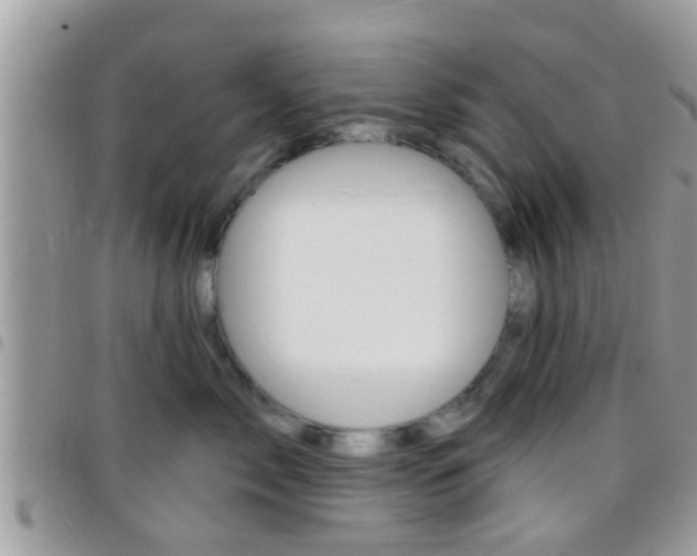 X0000096150717200801180829