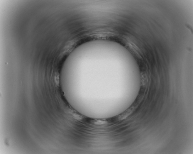 X0000096150718200801180829