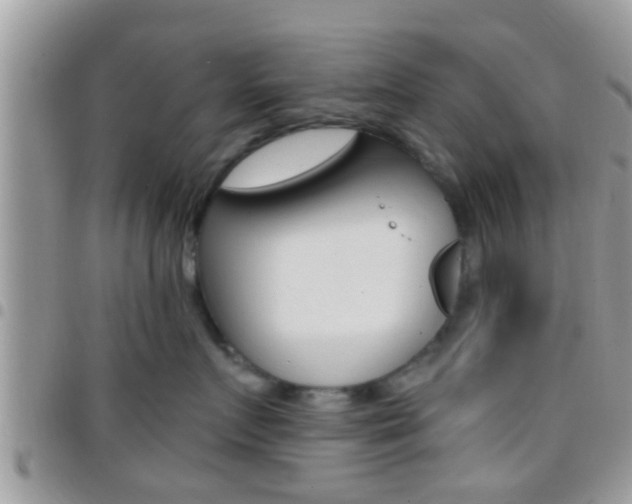 X0000096150719200801180829