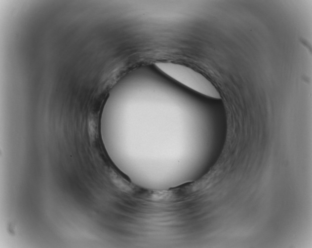 X0000096150720200801180829