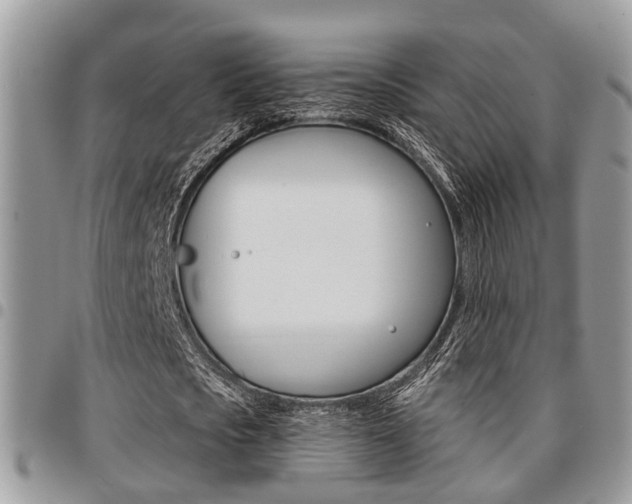 X0000096150721200801180828
