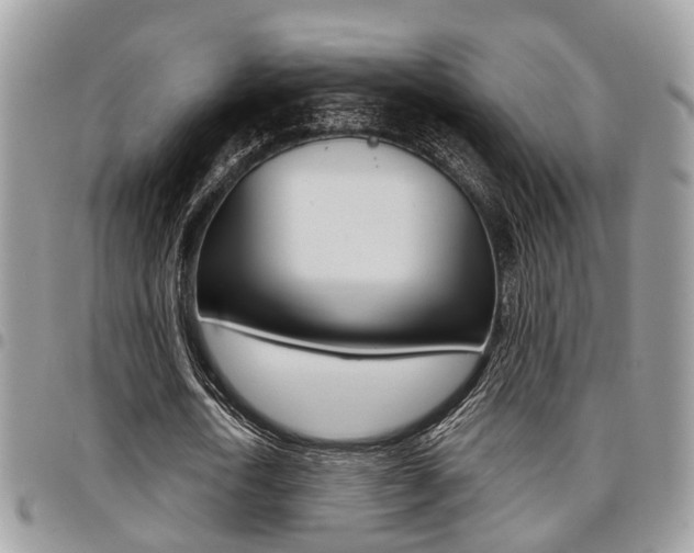 X0000096150722200801180829