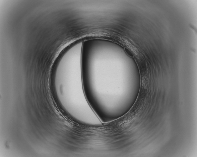 X0000096150724200801180829