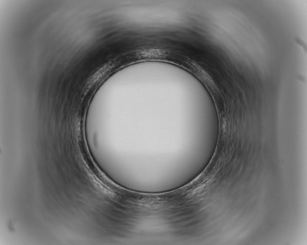 X0000096150725200801180829
