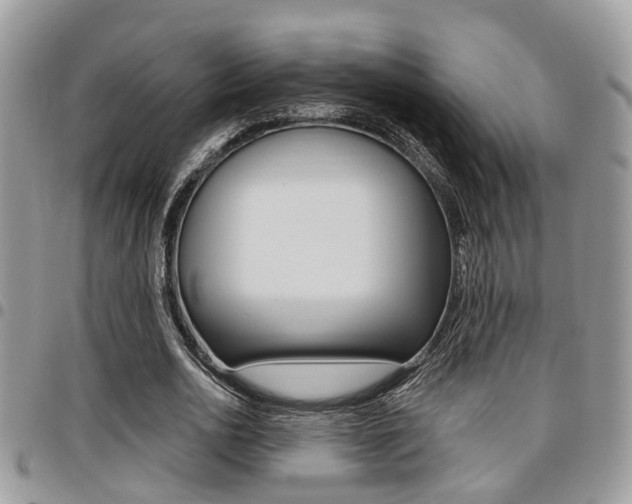 X0000096150726200801180829
