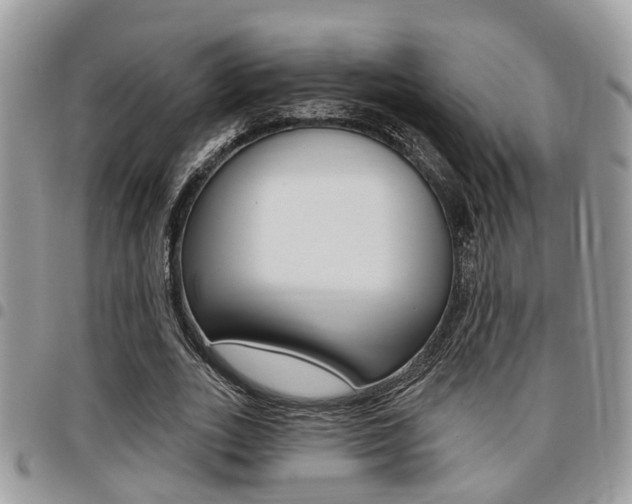 X0000096150727200801180829
