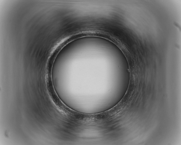 X0000096150728200801180829