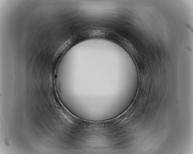 X0000096150729200801180829