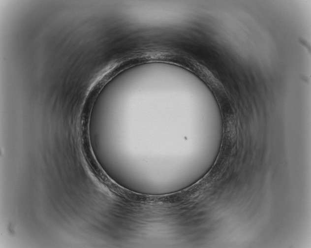X0000096150730200801180829