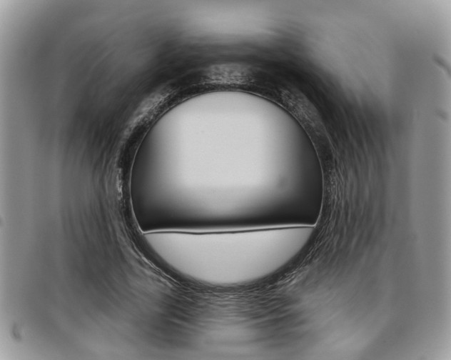 X0000096150731200801180829
