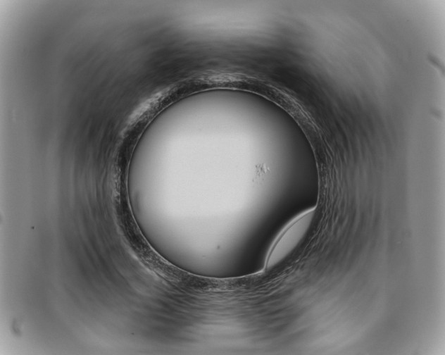 X0000096150732200801180829