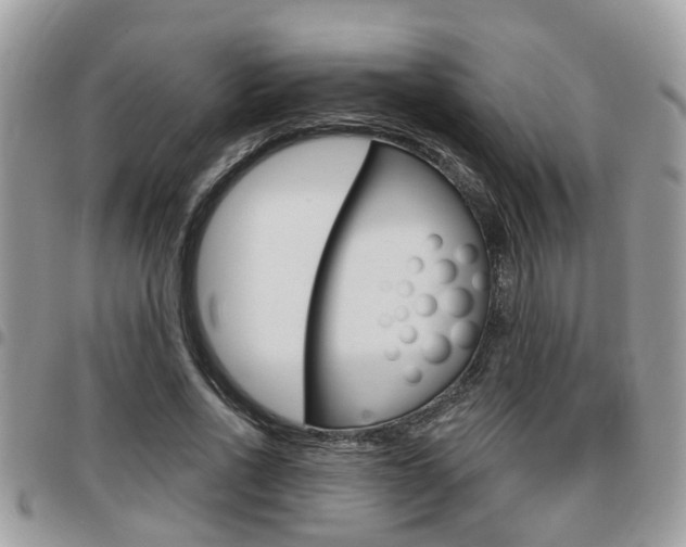 X0000096150734200801180829