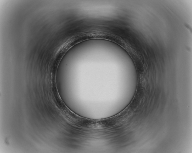 X0000096150735200801180829