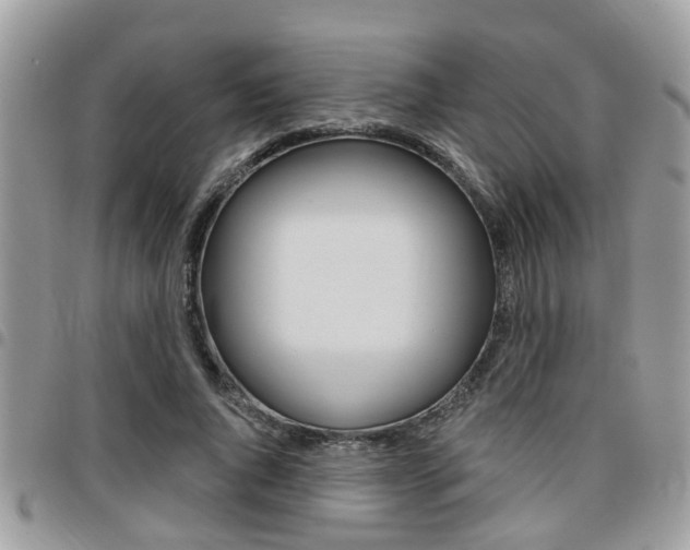X0000096150736200801180829
