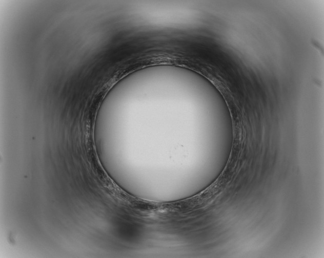 X0000096150737200801180829