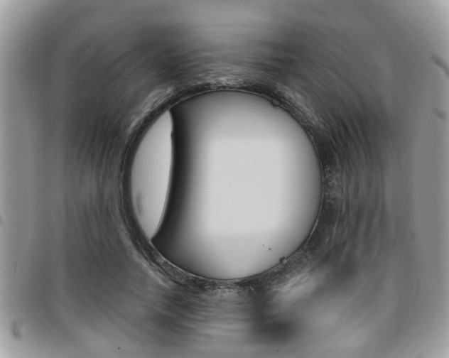 X0000096150738200801180829