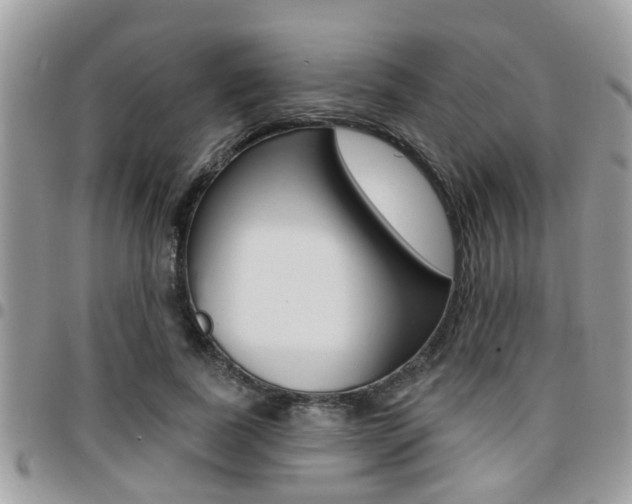 X0000096150739200801180829