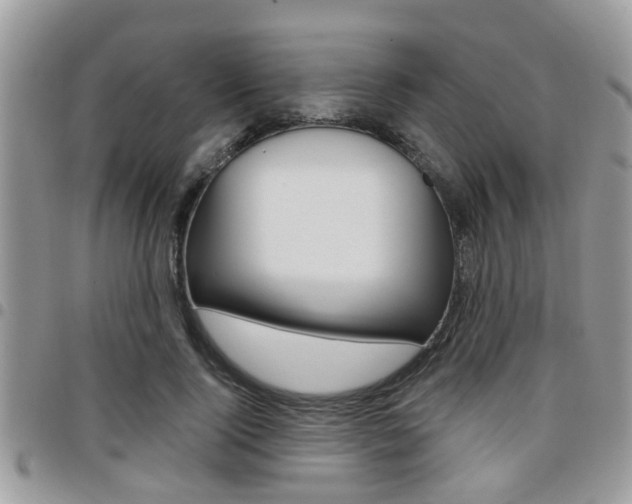 X0000096150740200801180829