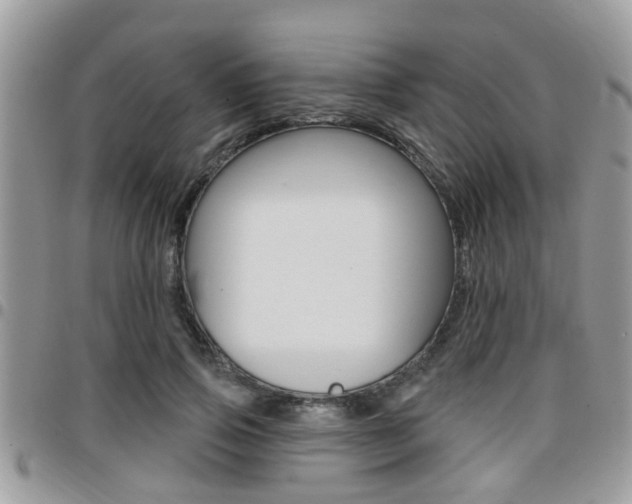 X0000096150741200801180829