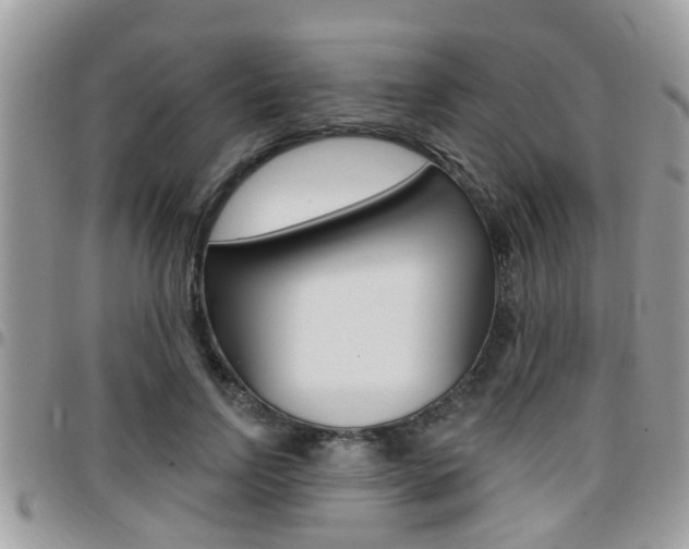 X0000096150742200801180829