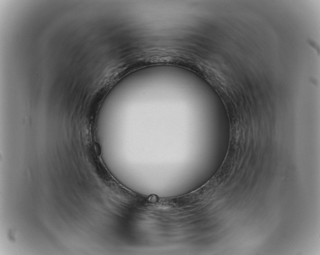 X0000096150743200801180829