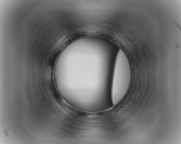 X0000096150744200801180829