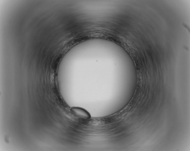 X0000096150745200801180829