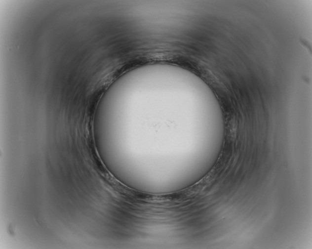 X0000096150746200801180829