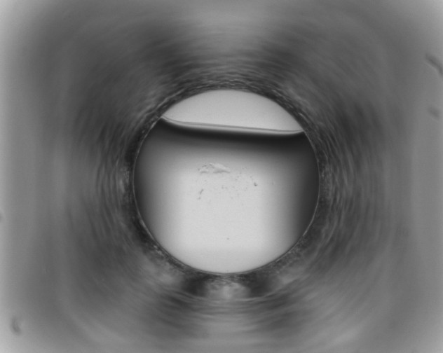 X0000096150747200801180829