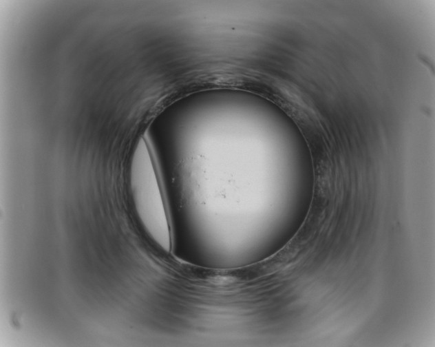 X0000096150748200801180829