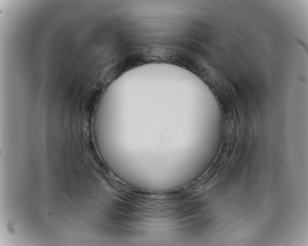 X0000096150749200801180829