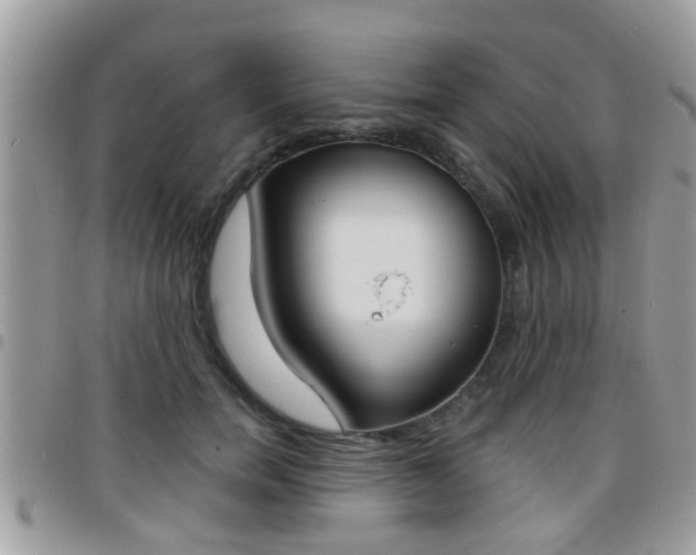 X0000096150750200801180829