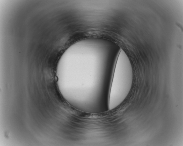 X0000096150751200801180829