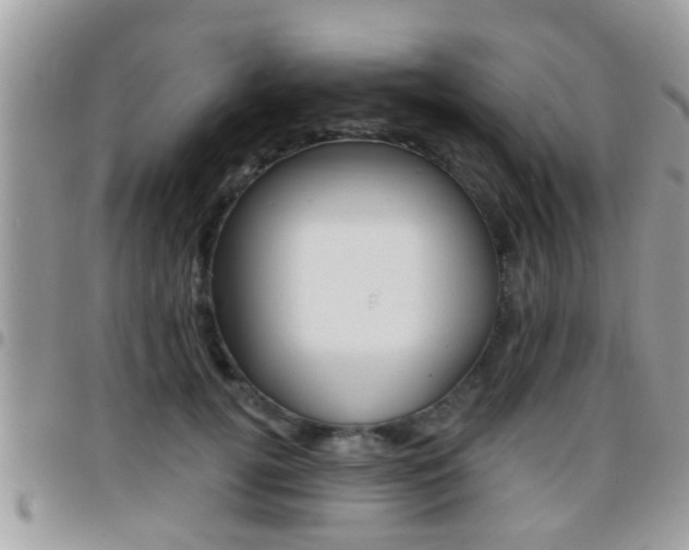 X0000096150752200801180829