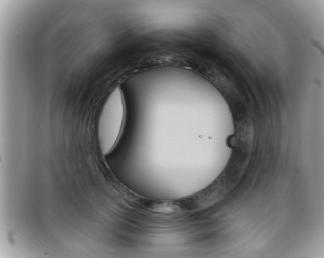 X0000096150754200801180829