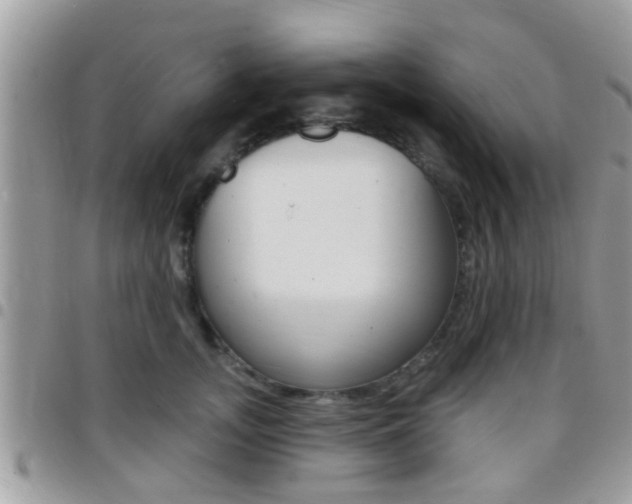 X0000096150755200801180829