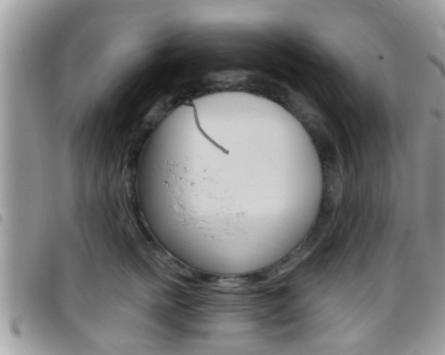 X0000096150758200801180829