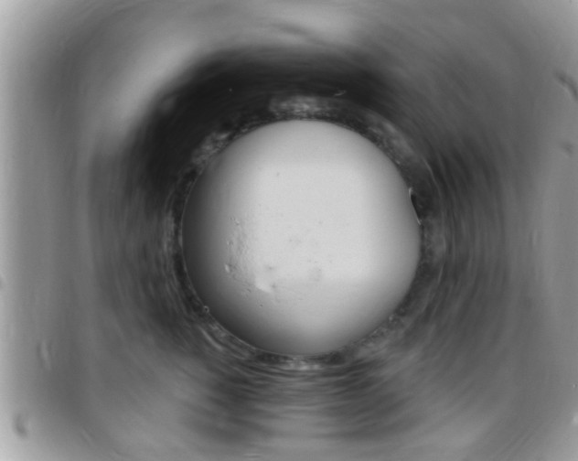 X0000096150760200801180829
