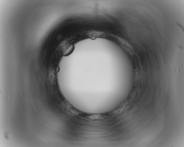 X0000096150761200801180829