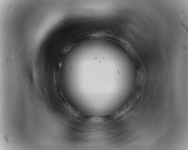 X0000096150762200801180829